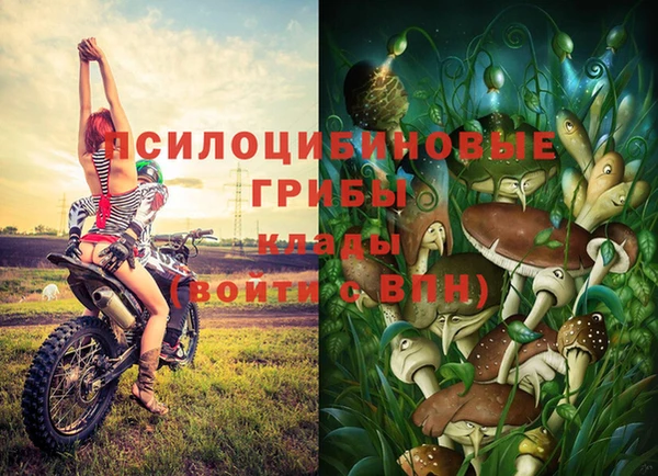 тгк Арсеньев