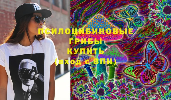 тгк Арсеньев
