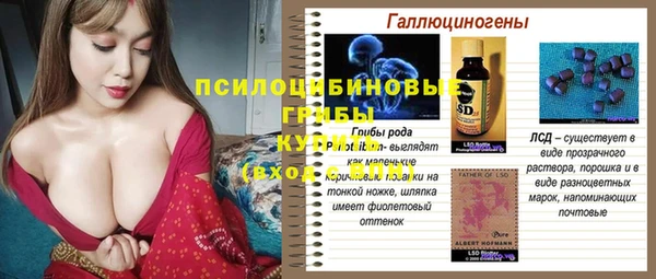 круглые Аркадак