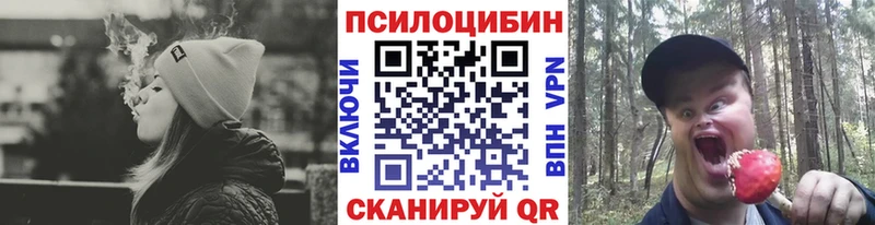 Галлюциногенные грибы GOLDEN TEACHER  Сольвычегодск 