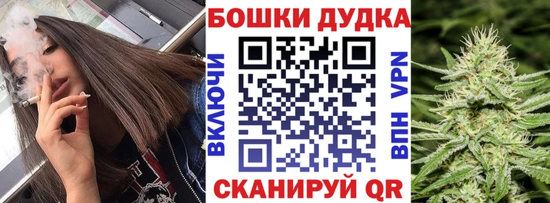 Бошки Шишки THC 21%  Сольвычегодск 